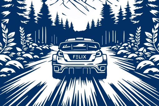 FELIX - RIV