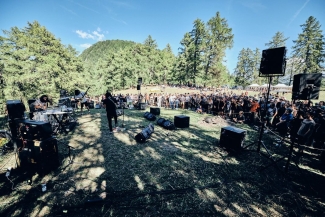 PALP Festival